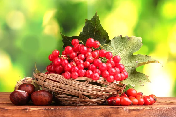 Viburnum in basket, chestnuts and briar on wooden table on green background — Stock Photo, Image