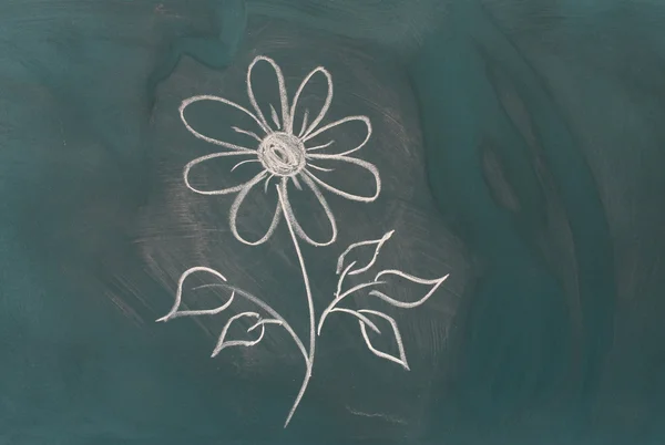 Tafel mit Zeichnung Blume Nahaufnahme — Stockfoto