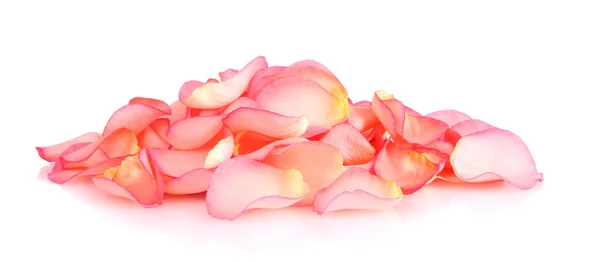Hermosos pétalos de rosa rosa aislados en blanco — Foto de Stock