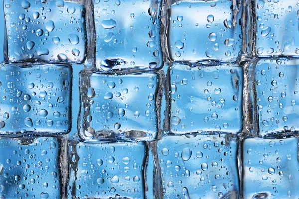 Derretimiento de cubitos de hielo en primer plano azul — Foto de Stock