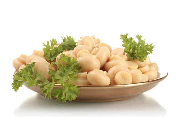 腌制的蘑菇在白色上孤立的棕色飞碟 — 图库照片