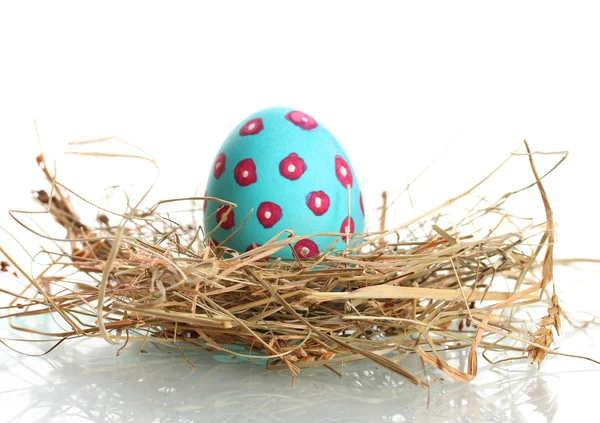 Blue Easter Egg in little bird nest isolated on white — Stock Photo, Image