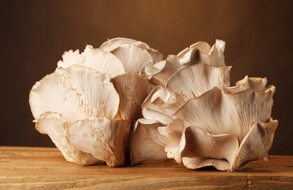 stock image Oyster mushrooms wooden table on brown background