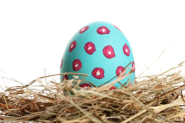 Голубое пасхальное яйцо в птичьем гнездышке, изолированном на белом — стоковое фото