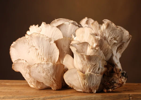 Ostra cogumelos mesa de madeira no fundo marrom — Fotografia de Stock