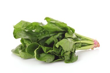 salata