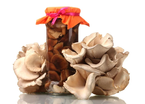 stock image Delicious marinated mushrooms in the glass jars, raw oyster mushrooms isola