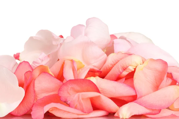 Piękne różowe płatki róż na białym tle — Zdjęcie stockowe