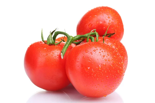Tomates rojos maduros aislados en blanco — Foto de Stock