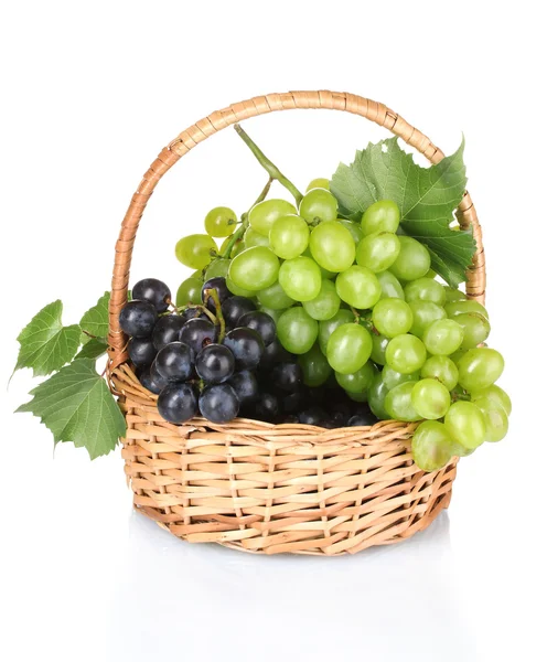 Uvas e vinho — Fotografia de Stock