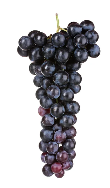 Uvas e vinho — Fotografia de Stock