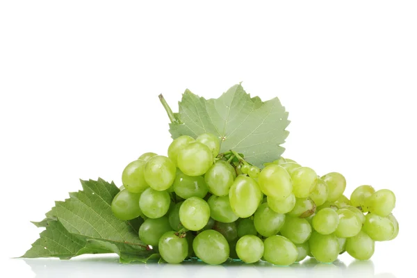 Druiven & wijn — Stockfoto