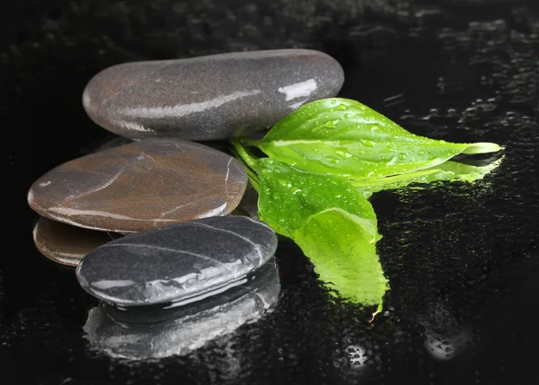 Piedras de spa con gotas de agua y hojas sobre fondo negro —  Fotos de Stock
