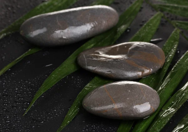 stock image Spa stones with water drops on palm leaf on black background