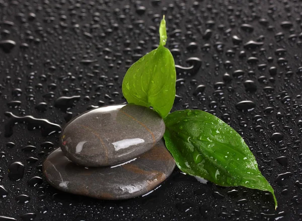 Spa stones with water drops and leaves on black background — Stock Photo, Image