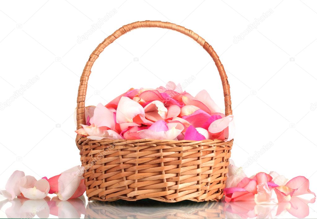 Beautiful pink rose petals in basket isolated on white