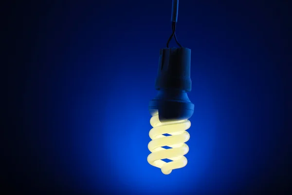Una lampadina a risparmio energetico illuminata su sfondo blu — Foto Stock