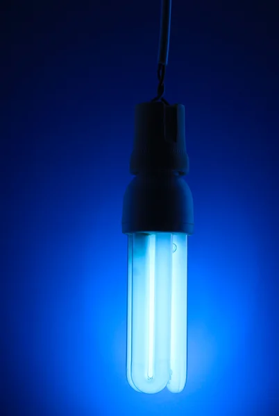 stock image A lit energy saving light bulb on blue background