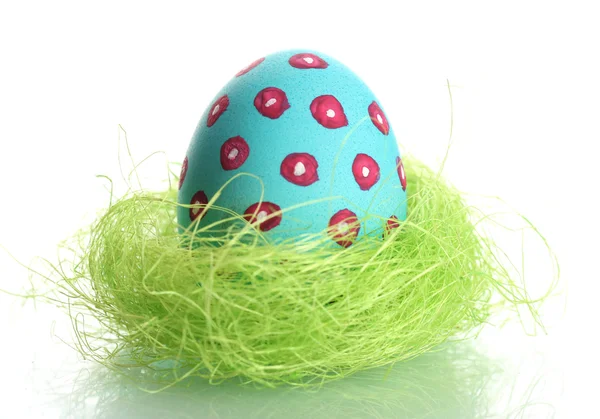 Modrý velikonoční vajíčko v ptáček hnízdo izolované na bílém — Stock fotografie