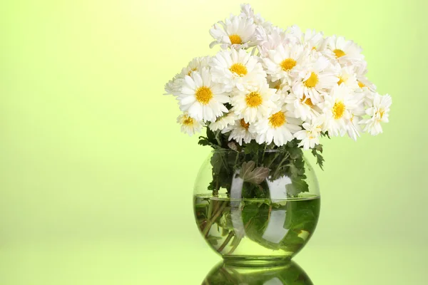 Schöner Strauß Margeriten in der Vase auf grünem Hintergrund — Stockfoto