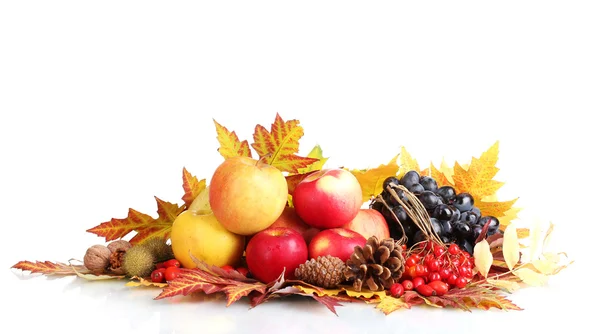 Beautiful autumn harvest and leaves isolated on white — Stock Photo, Image