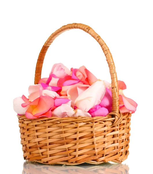 Belas pétalas de rosa em cesta isoladas em branco — Fotografia de Stock