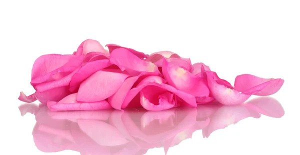 Piękne różowe płatki róż na białym tle — Zdjęcie stockowe