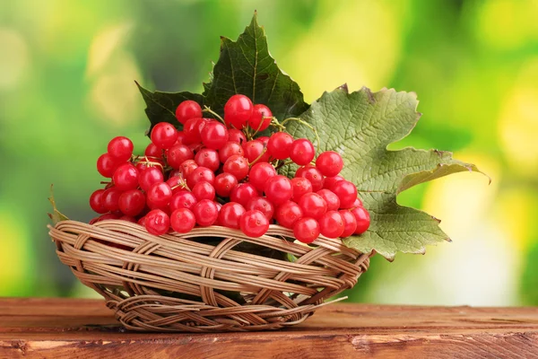 Rote Beeren von Viburnum im Korb auf Holztisch auf grünem Hintergrund — Stockfoto