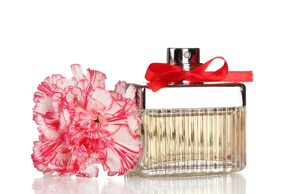 Parfüm şişesi ve karanfil beyaz izole kırmızı yayla — Stok fotoğraf