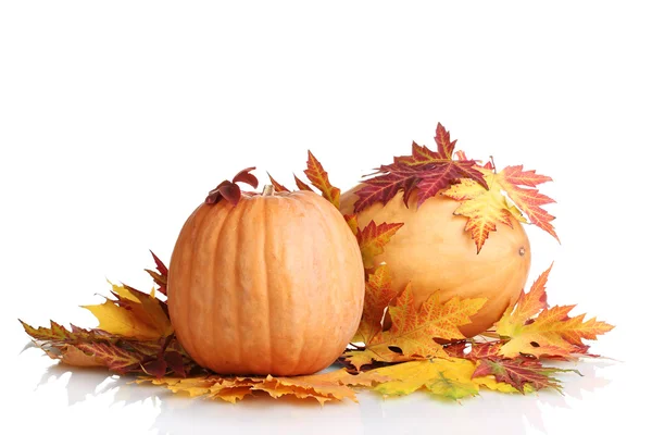 Two ripe pumpkins and autumn leaves isolated on white — Stock Photo, Image