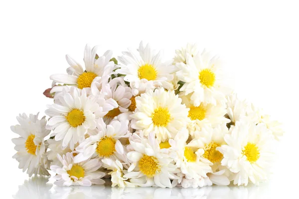 Schöner Strauß Gänseblümchen isoliert auf weiß — Stockfoto