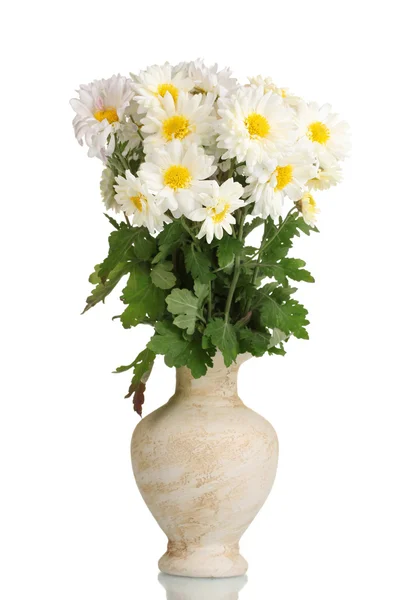Красивый букет маргаритки в вазе изолированы на белом — стоковое фото