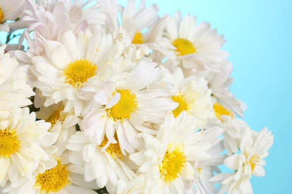 Beautiful bouquet of daisies on blue background — Stock Photo, Image