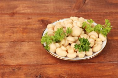 ahşap masa üzerinde uçan daire içinde Marine mantar