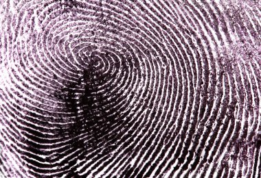 Fingerprint isolated on white clipart
