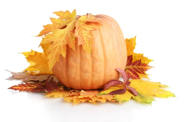 Reifer Kürbis und Herbstblätter isoliert auf weiß — Stockfoto