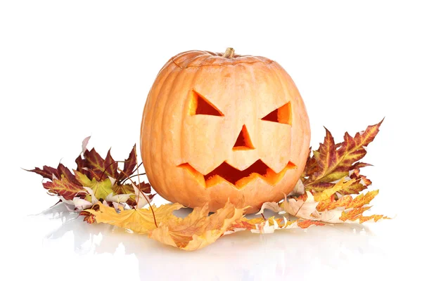 Halloween pompoen en herfstbladeren geïsoleerd op wit — Stockfoto