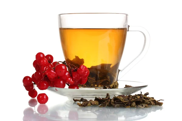 Groene thee met rode planten van viburnum in glazen beker geïsoleerd op wit — Stockfoto