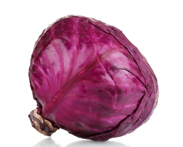 Whole red cabbage isolated on white — Stockfoto