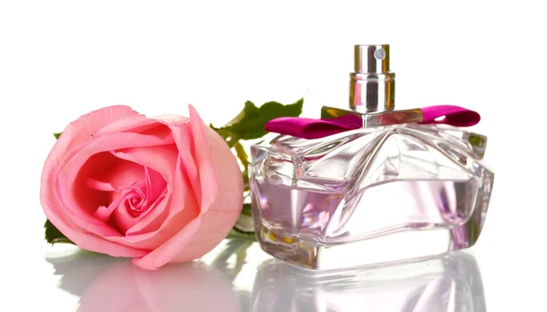 Frasco de perfume e rosa rosa isolado em branco — Fotografia de Stock