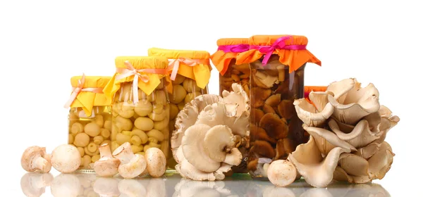 Deliciosos cogumelos marinados nos frascos de vidro, champinhons crus e ostra — Fotografia de Stock