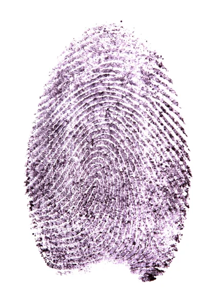 Fingerprint isolated on white — Stock Photo, Image