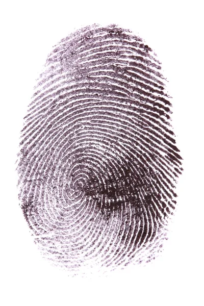 stock image Fingerprint isolated on white
