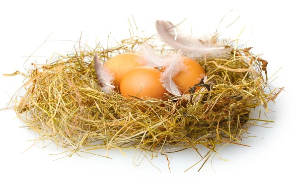 Uova di pollo in un nido isolato su bianco — Foto Stock