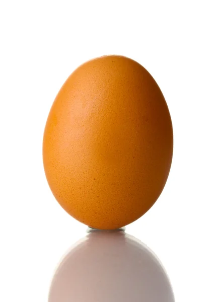 Коричневое яйцо на белом — стоковое фото