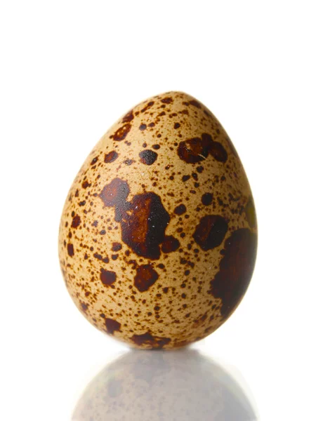 Ορτύκι isilated αυγό σε λευκό — Φωτογραφία Αρχείου