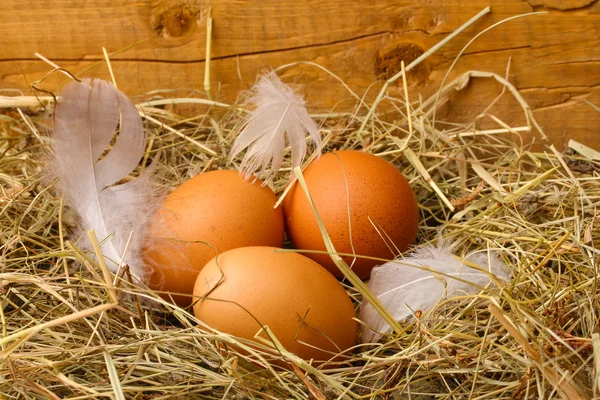 Chicken eggs in a nest on wooden background — Stock Photo, Image