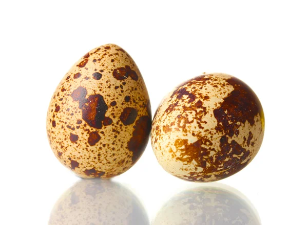 Two quail eggs isilated on white — Stock Photo, Image