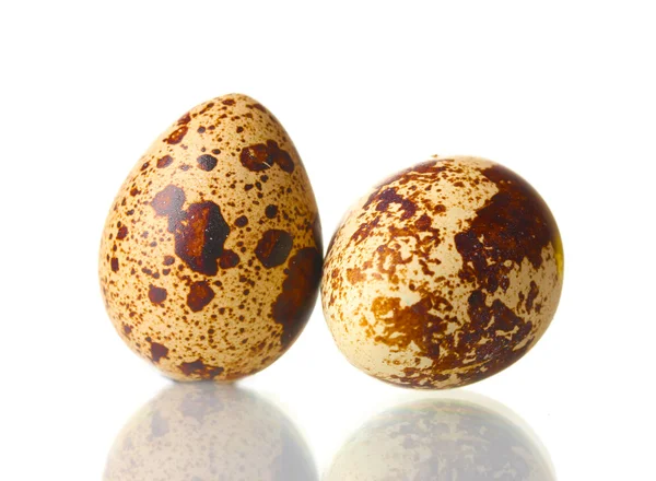 stock image Two quail eggs isilated on white