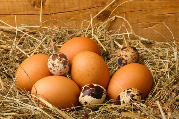Курица и перепелиные яйца в гнезде на деревянном фоне — стоковое фото